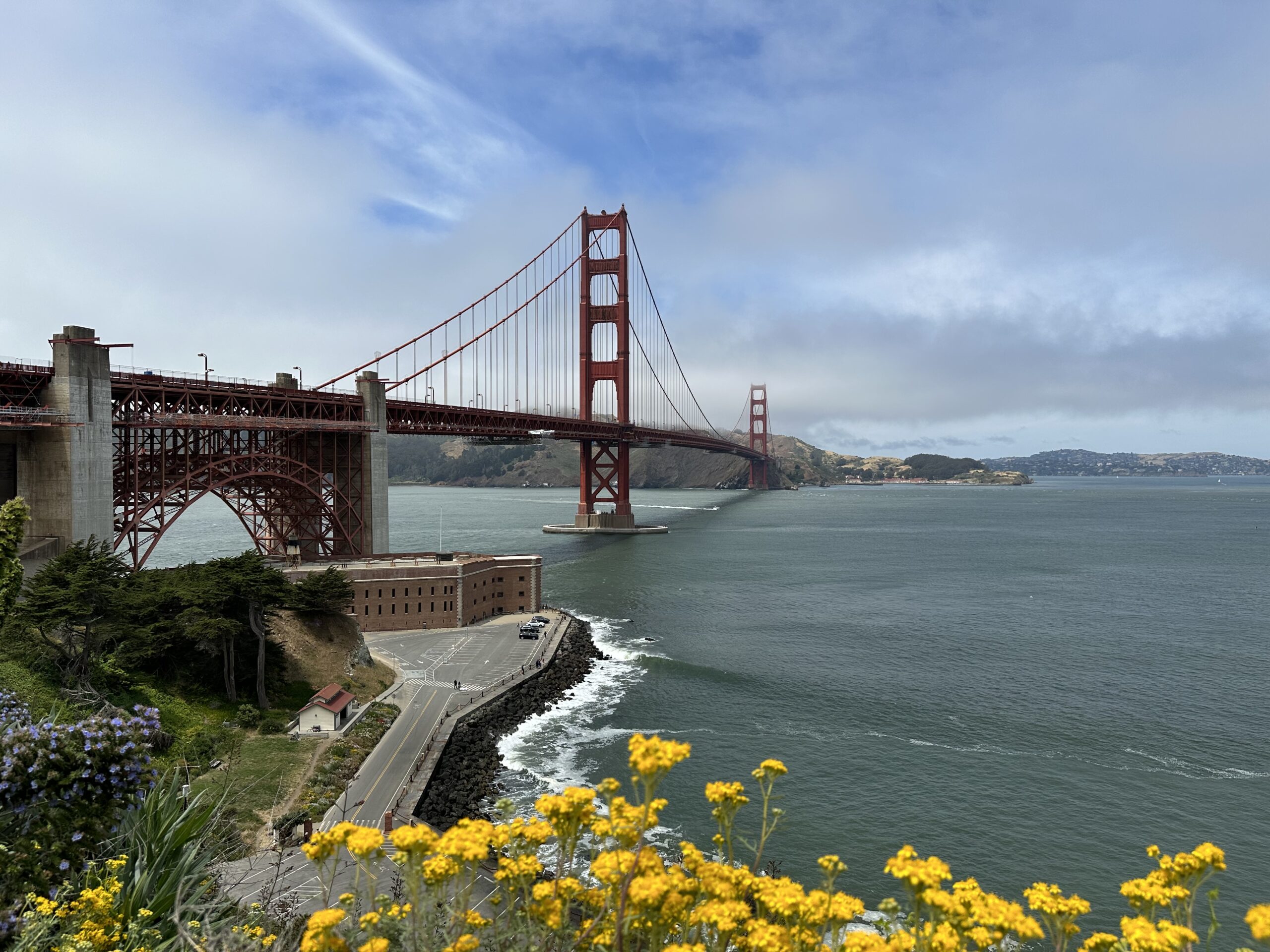 Yellow flowers in the foreground and the Golden Gate Bridge above the water
